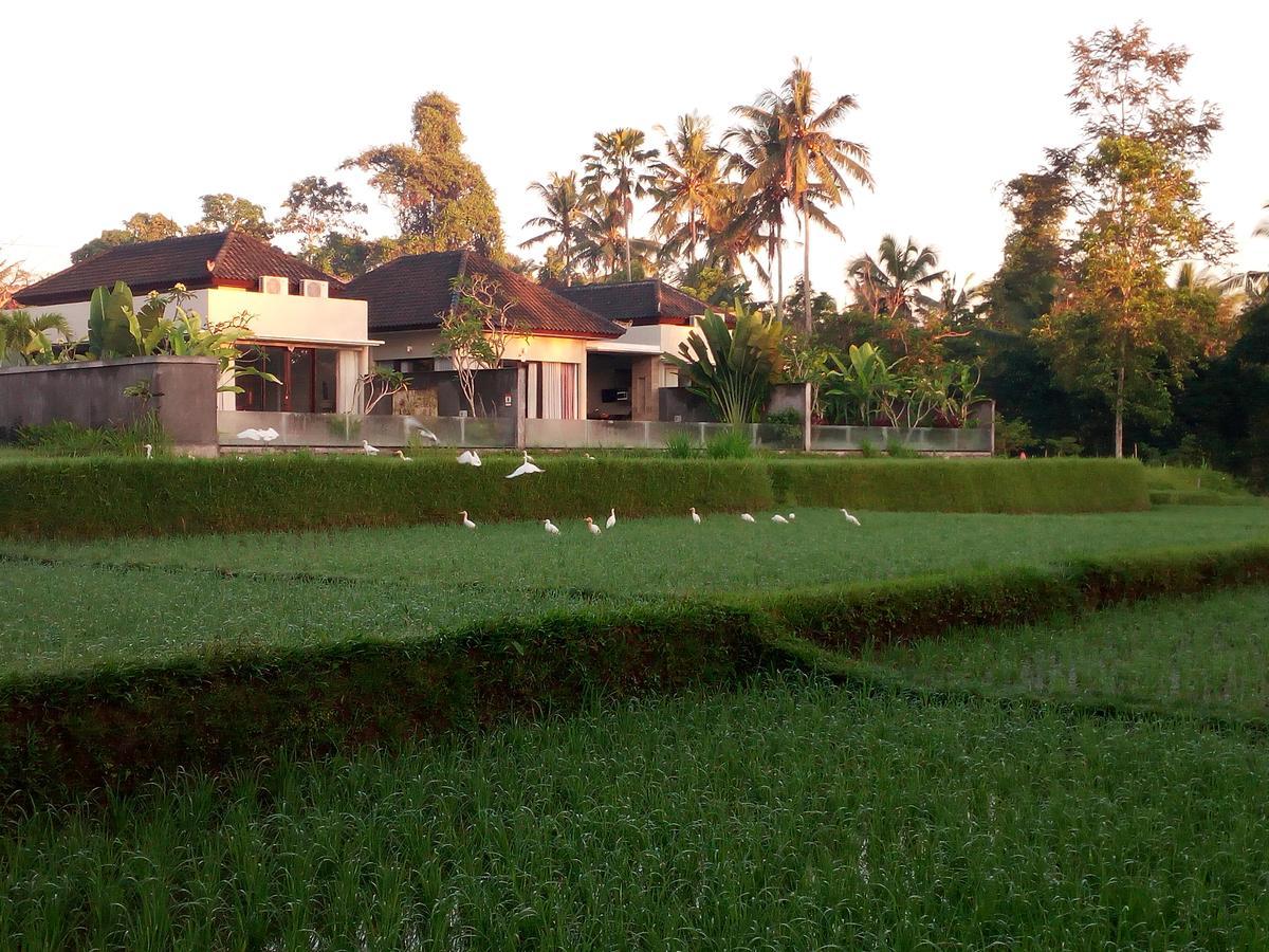 Canikaya Villa *