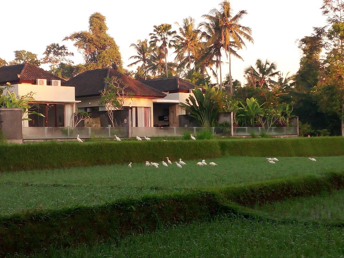 Canikaya Villa *