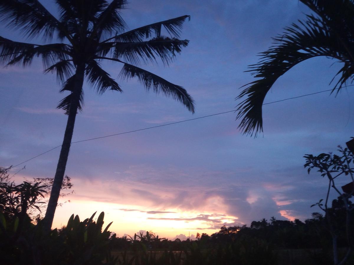 Canikaya * Ubud
