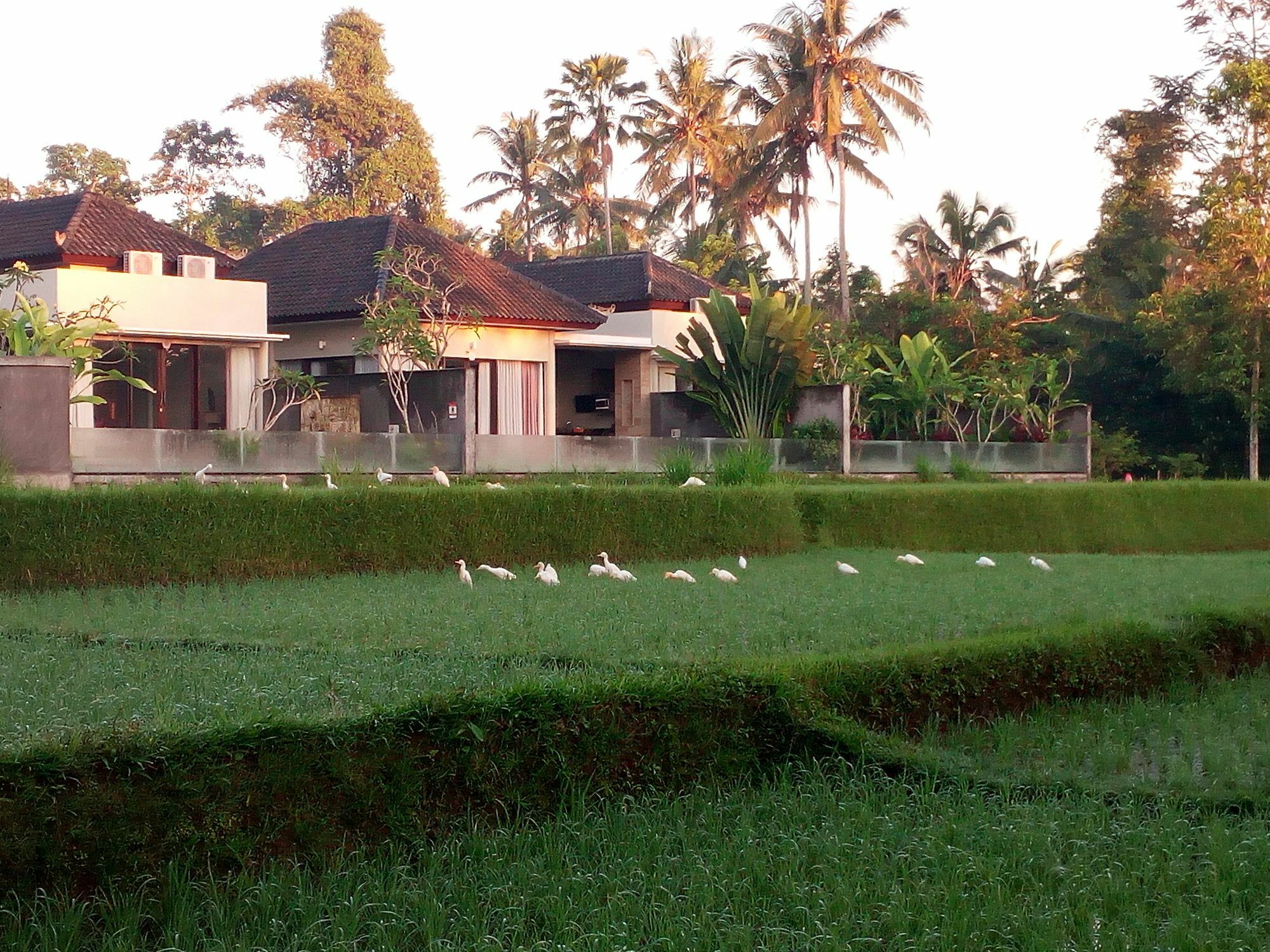 Villa Canikaya Ubud (Bali)